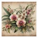 Suche nach vintage blumen poster Orchidee