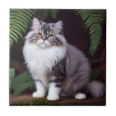 Suche nach graue katze fliesen Haustier