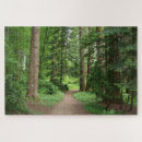 Suche nach waldweg puzzle Natur
