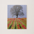 Suche nach eiche puzzle Usa