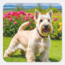 Suche nach wheaten terrier aufkleber Weide