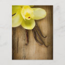 Suche nach aroma postkarten Blüte