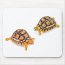 Suche nach schildkröte muschel mousepads Tier