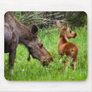 Suche nach zwei tiere mousepads Gras