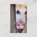 Suche nach lustige schwein visitenkarten Schweine