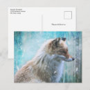 Suche nach fuchs foto postkarten Natur