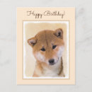 Suche nach shiba inu postkarten Welpe