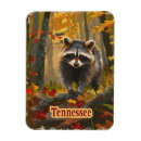 Suche nach raccoon magnete Waschbär