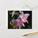 Suche nach cattleya postkarten Für alle