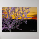 Suche nach mandelblüte poster Mandelbaum