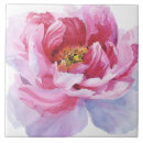 Suche nach pfingstrose fliesen Rosa