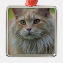 Suche nach tierkopf ornamente Vertikal