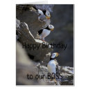 Suche nach boss einladungen Niedlich