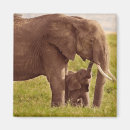 Suche nach niedlicher elefant magnete Babyelefant