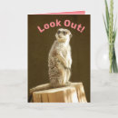 Suche nach meerkat Geburtstag