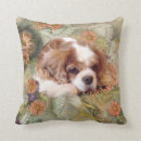 Suche nach blenheim kissen King