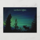 Suche nach lights postkarten Polarlichter