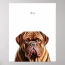 Suche nach dogue kunst Mastiff