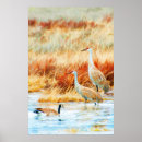 Suche nach gans poster Vögel