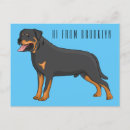 Suche nach rettungshund andere postkarten Jede person