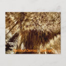 Suche nach höhle postkarten Mexiko