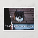 Suche nach dachs einladungen Jede person