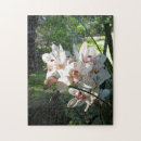 Suche nach orchideen puzzle Jede person