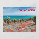 Suche nach galapagos postkarten Reise