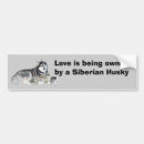 Suche nach schlittenhunde autoaufkleber Sibirisch