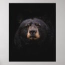 Suche nach beutel poster Wild