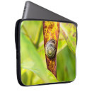 Suche nach schnecke laptop schutzhüllen Muster