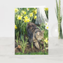 Suche nach fell karten Jede person