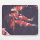 Suche nach koi karpfen mousepads Farbbild