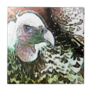 Suche nach raubvogel fliesen Tiere