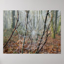 Suche nach orb poster Web