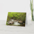 Suche nach collins karten Laub