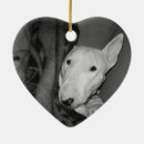 Suche nach englischer bullterrier Für alle