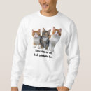 Suche nach kasten hoodies Kätzchen