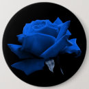 Suche nach blaue rose buttons Rosen