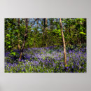 Suche nach forst poster Natur