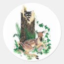 Suche nach kitze aufkleber Rotwild