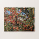 Suche nach reber puzzle Natur