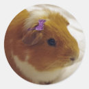 Suche nach gegen pelz aufkleber Niedlich