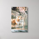 Suche nach wilder tiger leinwandbilder Natur
