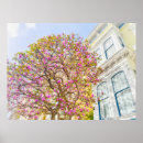 Suche nach magnolien poster Blumen