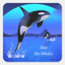 Suche nach killerwal aufkleber Orcas