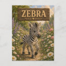 Suche nach zebra postkarten Für alle