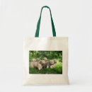 Suche nach golden retriever taschen Welpe
