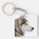 Suche nach husky schlüsselanhänger Alaskan hund