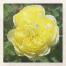 Suche nach englische rosen untersetzer Blume